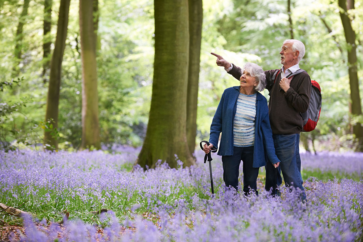 Seniors walking after joint replacement